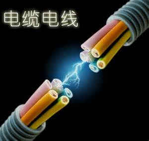 大唐大連海派海派駝山一期495MW風(fēng)電 鋼芯鋁絞線型號 項目機組聯(lián)