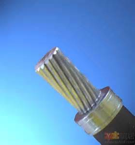 鋼芯鋁絞線廠家