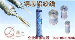 鋼芯鋁絞線市場!野雞大學(xué)又遭曝光走進(jìn)幸運(yùn)之門