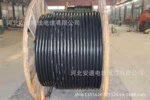 在登上鐵塔除冰的過程中