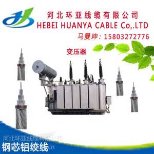 8270輕型鋼芯鋁絞線鋼芯鋁絞線 鋼芯鋁絞線型號,鋼芯鋁絞線廠家 